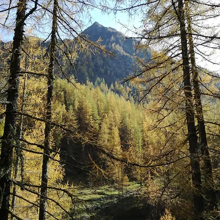 Vacanze * Sassiglioni